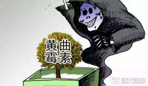 图片关键词