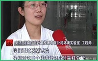 还在用柚子皮除甲醛？ 赶快停止这种错误的行为吧！